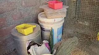 😎Third vlog Master cage 🔥🔥