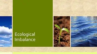 Ecological Imbalance (EPPI) (CH-01)