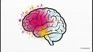 Cerebro Adolescente y La M&uacute;sica