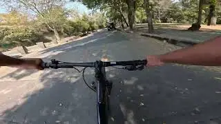 Quitándole las arañas a la Bicla