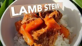 easy Greek lamb stew