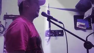 Can&rsquo;t help falling in love with you (cover) by Peter wayne