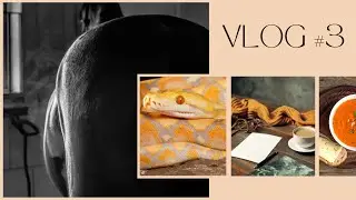 Training Horses, Fall Decor, Hoverboarding', Reticulated Python, Coffee Bar | Fall Vlog 1