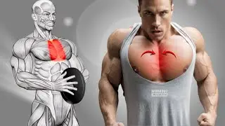 8 Best Exercises to Grow Inner Pecs Line