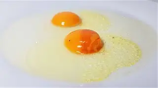 Raw Egg Macro Time Lapse - 7 Days【4K-macro】