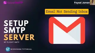SMTP configuration on WordPress website | SMTP step-by-step WordPress