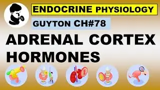 Ch#78 Physiology Guyton | ADRENAL CORTEX Hormones | Hormones | Dr Asif Lectures