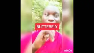 Benbella ft mauld elka-Butterfly official video
