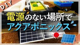 【池作り DIY】太陽光発電で水耕栽培（アクアポニックス）を動かす 〜オフグリッド編〜