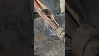 manual iron cutting method‼️ #medievalblacksmith #fypviralシ #wood #viralshort #videoshort