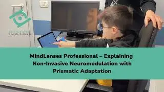 MindLenses Professional &ndash; Explaining Non-Invasive Neuromodulation with Prismatic Adaptation