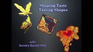 Shaping Taste - the Inner Beauty and Structure of Wine