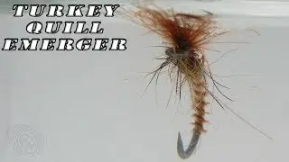 Fly tying: Turkey quill emerger dry fly