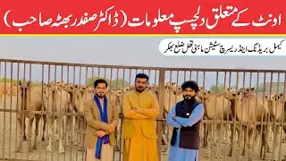 Historical and Interesting Facts of Camel || اونٹ کے متعلق دلچسپ معلومات || Farooq Anfal