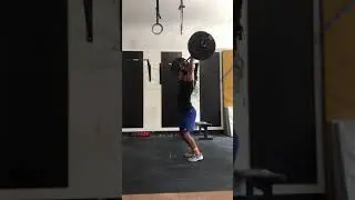 GTD 18.1 shagel butt