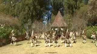 Zulu Dancing. Stock Footage