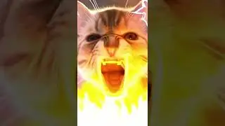 #funny #shorts #shortvideo #Supercutecat #viralshorts #cute #cat #viral #viralvideo #viralshorts