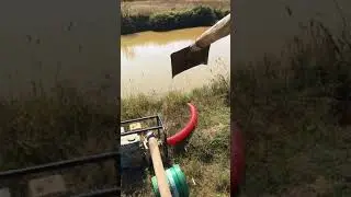 Amazing Fishing Trick You Shoud Watch With Click Trap In 2021 #Monkey #Short #EP736