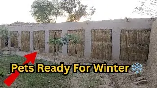 Mini Zoo Ka Winter Setup Complete ❄️ | Sardi Se Bachao Ka Full System | Ducks, Hens, Rabbits