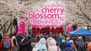 2025 Subaru Cherry Blossom Festival of Greater Philadelphia - Recap Video