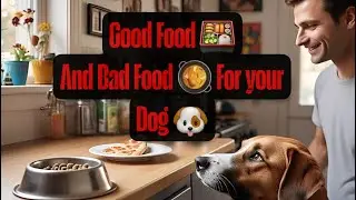 FOODS DOG CAN AND CANT EAT || GUD AND BAD FOOD FOR YOUR DOG