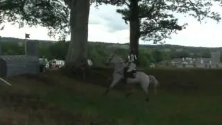 Sofia Sjoborg & DHI Mighty Dwight- Eventing J/YR European Championships XC