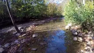 Murray Creek