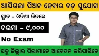 ଆସିଗଲା ପିଅନ ହେବାର ବଡ଼ ସୁଯୋଗ | Peon Job 2019 | Odisha Govt Job 2019 | Odisha Job 2019