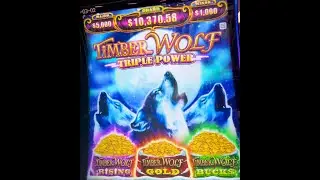 Jackpot &ldquo;E&rdquo; on Timber Wolf 🐺 @ShamRock_980  🍀. Two Kings Casino. Subscribe 😉! #twokingscasino
