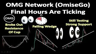 OMG Network (OmiseGo) Final Hours Are Ticking