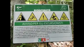 Regole Avvisi Responsabilità nel bosco