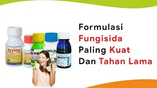 Formulasi Fungisida Paling Kuat dan Tahan Lama, Difenokonazol dan Propikonazol