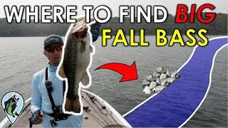 Why You Struggle to Catch Big Bass in the Fall