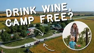 Staying at 3 UNIQUE Harvest Hosts // RV Camping at Wineries for FREE