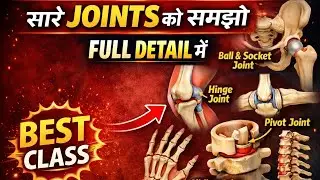 👉 JOINTS Complete Chapter | Ball, Hinge, Pivot, Gliding | Anatomy Class 3