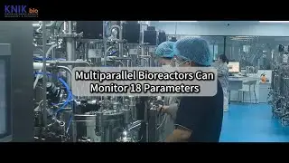 Multiparallel Bioreactors: Monitoring 18 Key Parameters