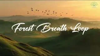 Forest Breath Loop - Gentle Nature Relaxing Music for Calm Breathing, Stress Relief