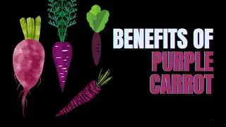 6 Benefits of Purple Carrot