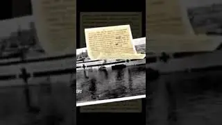 HMHS Essequibo    History of the Ship in the comments #oceanliner #history #ship