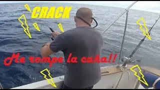 Este animal me parte la ca&ntilde;a! Primera parte