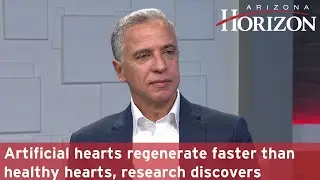 Artificial hearts regenerate faster than healthy hearts, research discovers