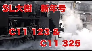 【東武鉄道 C11 123＆C11 325】 SL大樹 ～2025年の新年号を撮影した二日間～　new year  SL Taiju