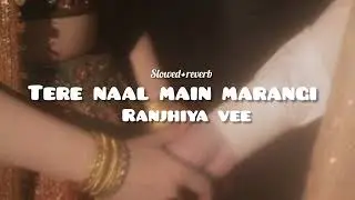 tere naal main marangi ranjheya ve🌷🪷✨🪞 | ranjhiya vee | zain zohaib | #trending #ytviral #song 