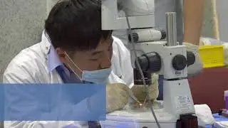 Mouse Models: From Genetics to Applications, Yonsei University College of Medicine, Seoul, 2018