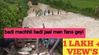 Badi Machhli  || Badi Jaal Men Fans Geyi || 😀babulikurlivlogs# shorts#reels#vlogs