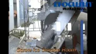 Flake Ice Automatic Screw Storage