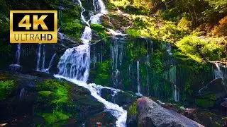 Relaxing Waterfall Ambience &ndash; Soothing Nature Sounds for Sleep, Focus, Study & Meditation