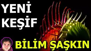 Yeni Keşif - Bilim Şaşkın | Bilim Haber 3