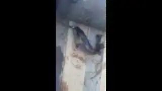 MOV 01691