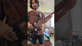 Rolling in Deep Adele bass cover please don't sue me for copyright